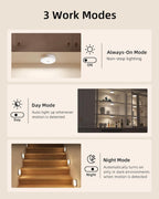 Smart Motion Sensor LED Light